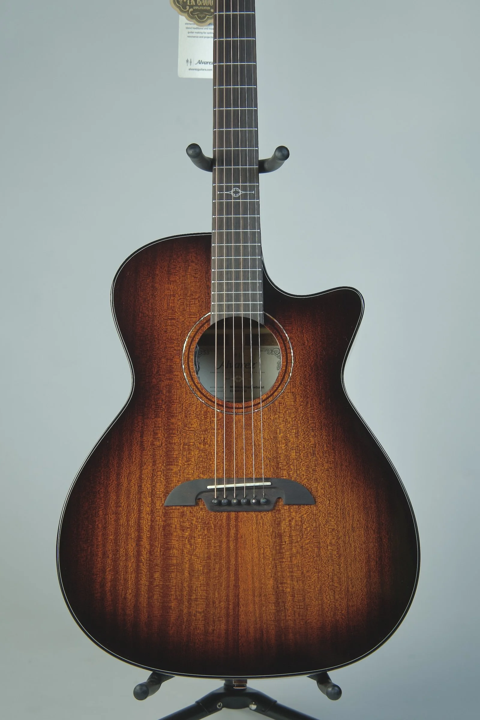Alvarez AD30CE Dreadnought Acoustic Electric Guitar — David's